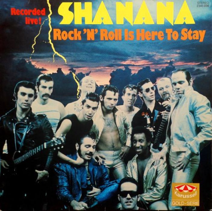 Shanana : Live, Rock n Roll I Here To Stay Kaytetty. Kunto VG. Harvoin tarjolla, Nykilainen